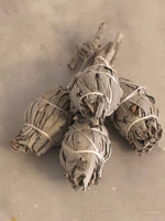 Ladda upp bild till gallerivisning, salvia-beauty-of-india4-rotated-1.jpg
